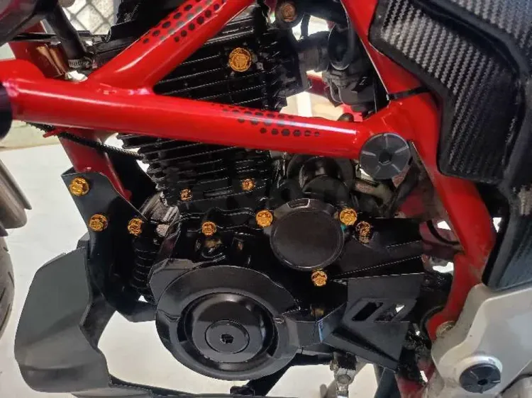 Senke raptor 125cc Moto