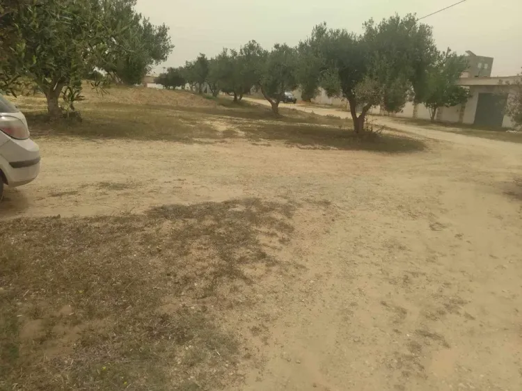 Vente lots de terrain à Soliman