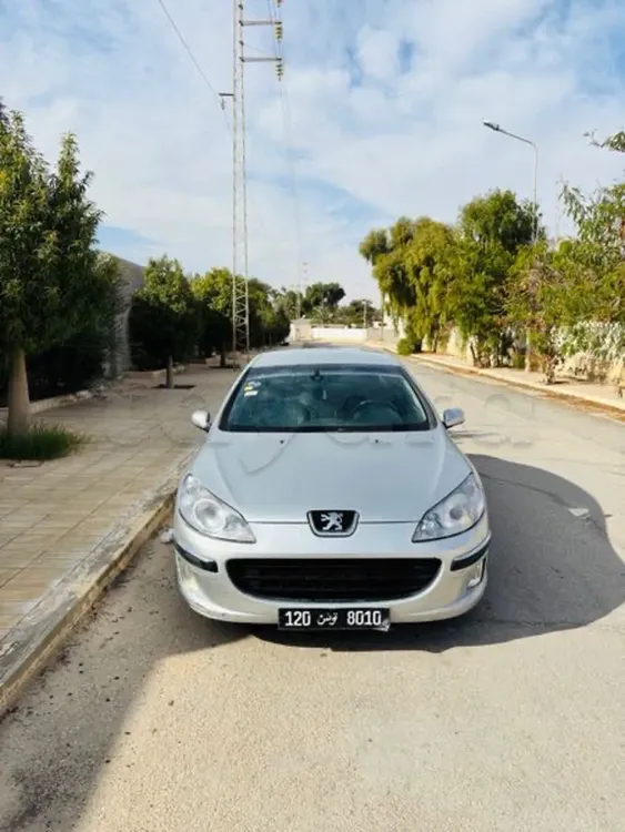Peugeot 407