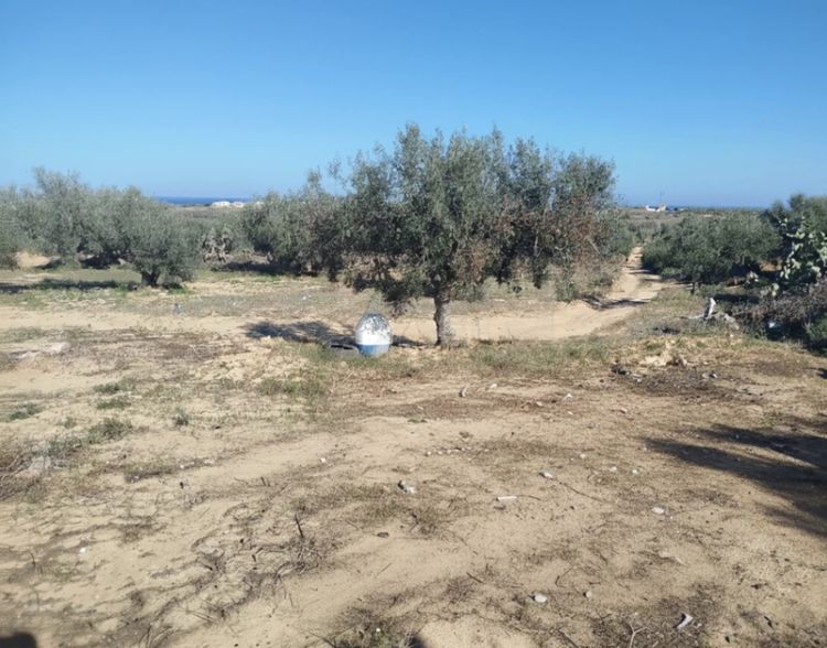 أرض للبيع في موقع استراتيجي، منطقة الرميلة شط مريم