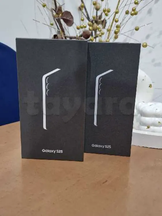 Samsung S25 5G europe cachete