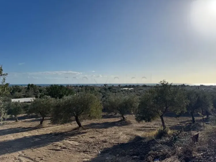 terrain 1470  a daroufa vu mer agreable