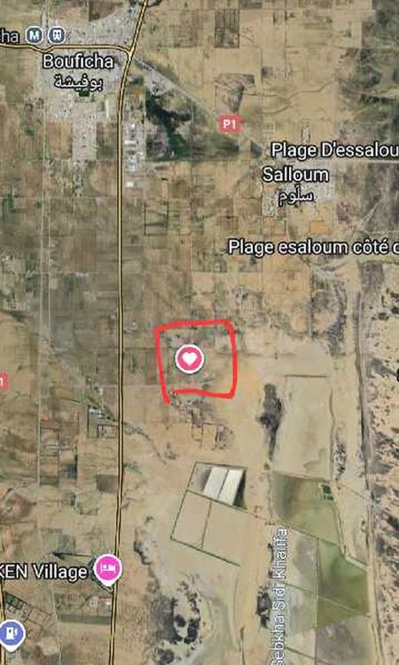 Terrain à vendre 250m Hammamet Sud - Salloum أرض للبيع