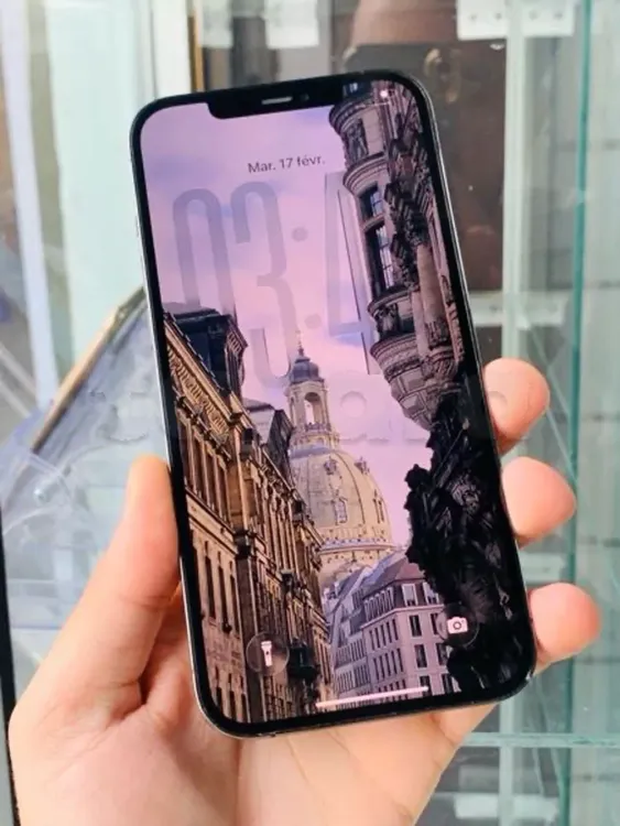 iphone 12 pro max 256gb