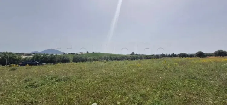 A vendre 2 hectares situé à Sidi Massoud Mornag