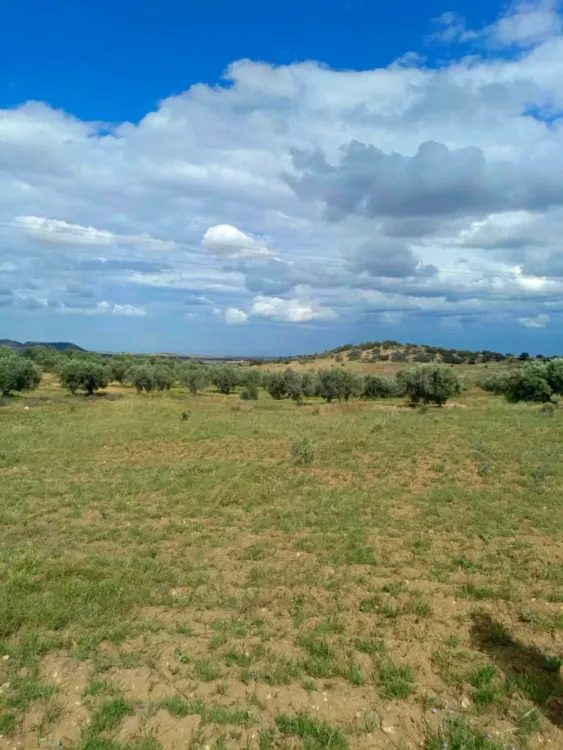 AV terrain de 4100m à zeriba zaghouan 99958728