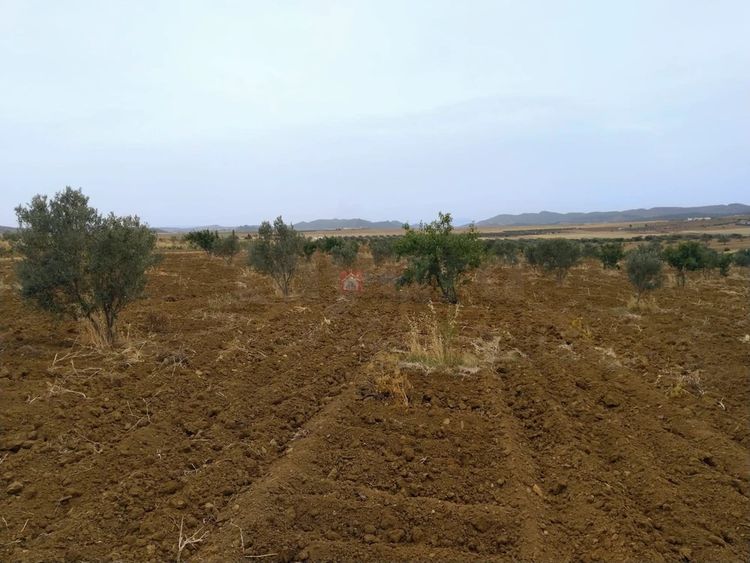 À Vendre Ferme à Bir Bouregba de 4.1 hectares
