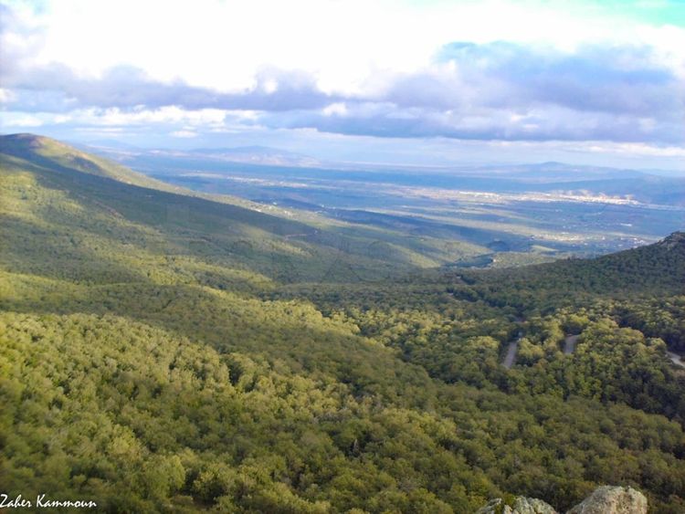 🔹 À Vendre - Terrain 33 Hectares à El Fejja | PLAZA IMMO