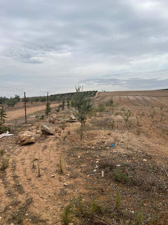 A Vendre Un Terrain De 6,75 Hectares A Bir Mcherga