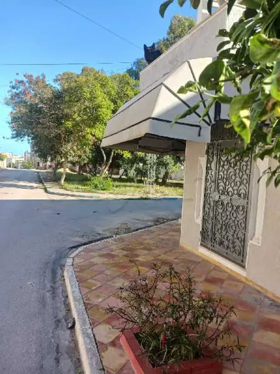 location local commercial