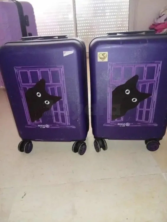 Deux Valises importés cabine 55cm Violet Aérial Color