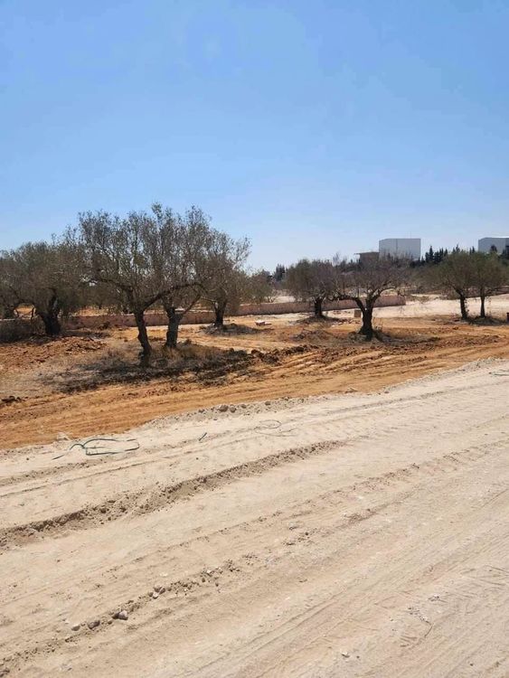 deux lots à Kalaa Kbira