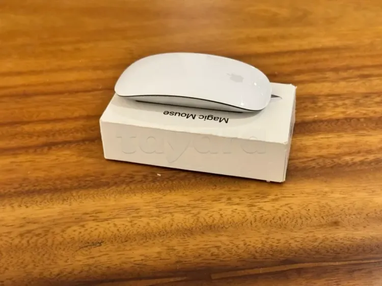 Souris Apple Magic Mouse