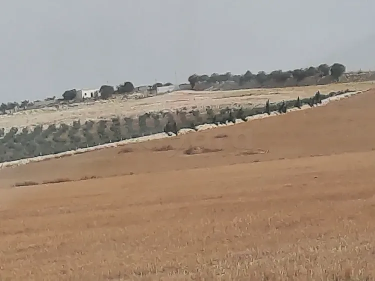 DES   LOTS DE   01 Ha