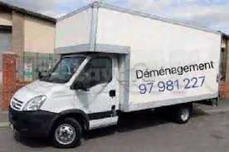Service déménagement 97981227 transporteur