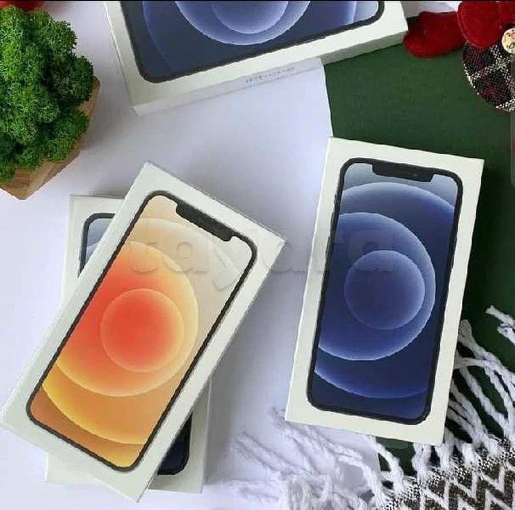 iphone 12 & 11 cacheté