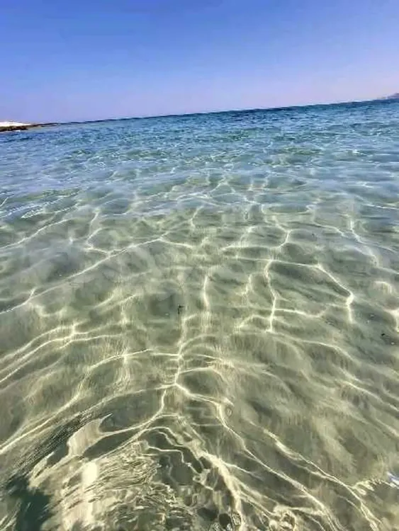 Assistante marketing lingerie et cosmétiques