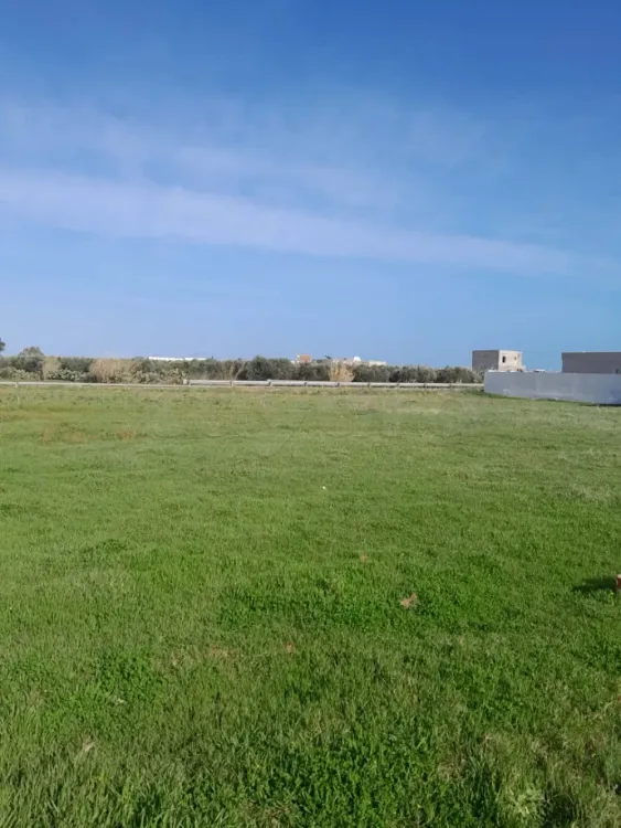 un terrain 1 klm de la plage à dar allouche kélibia