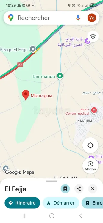 Terrain à Mornaguia 12850 m2- Fejja  أرض للبيع مرناقية - فجّة
