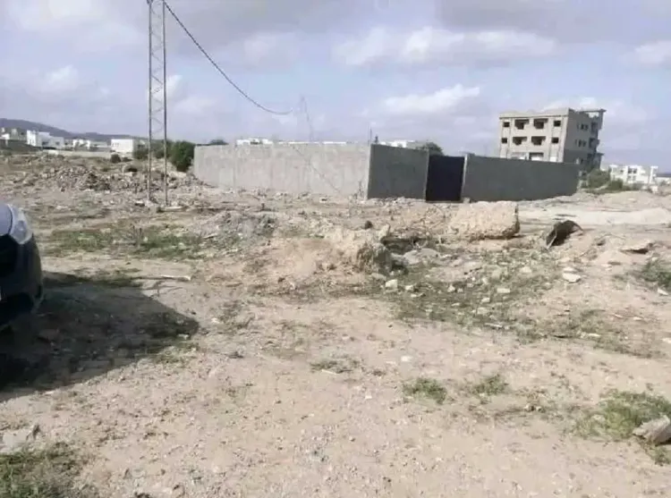 للبيع 300م² سكنية في حي الصحة برج الوزير اريانة
السعر 350د لم² قابل لنقاش 
☎️رقم #المالك و واتساب 
 29693968
#cité_saha #affaire #terrain #soukra