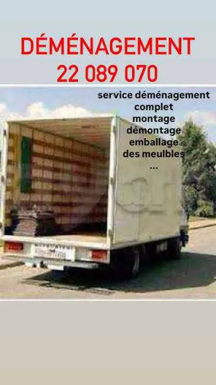 ARIANA DÉMÉNAGEMENT 22089070 TRANSPORTEUR