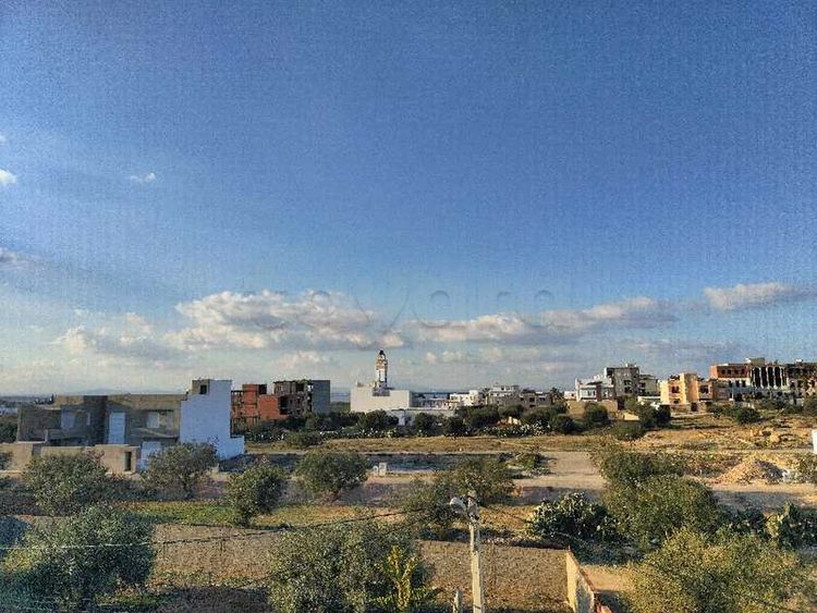 Terrain agricole Chatt Meriem