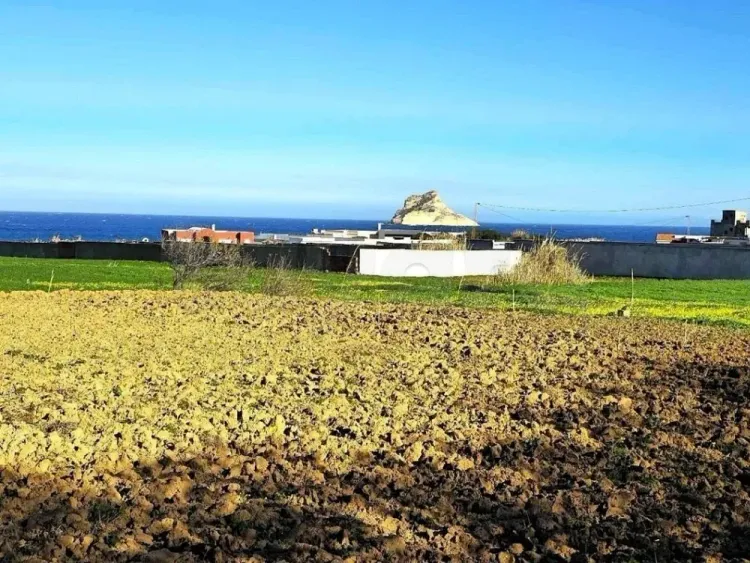 🏖️Terrain 500 m² Rafraf plage – Aïn Mestir 🌊