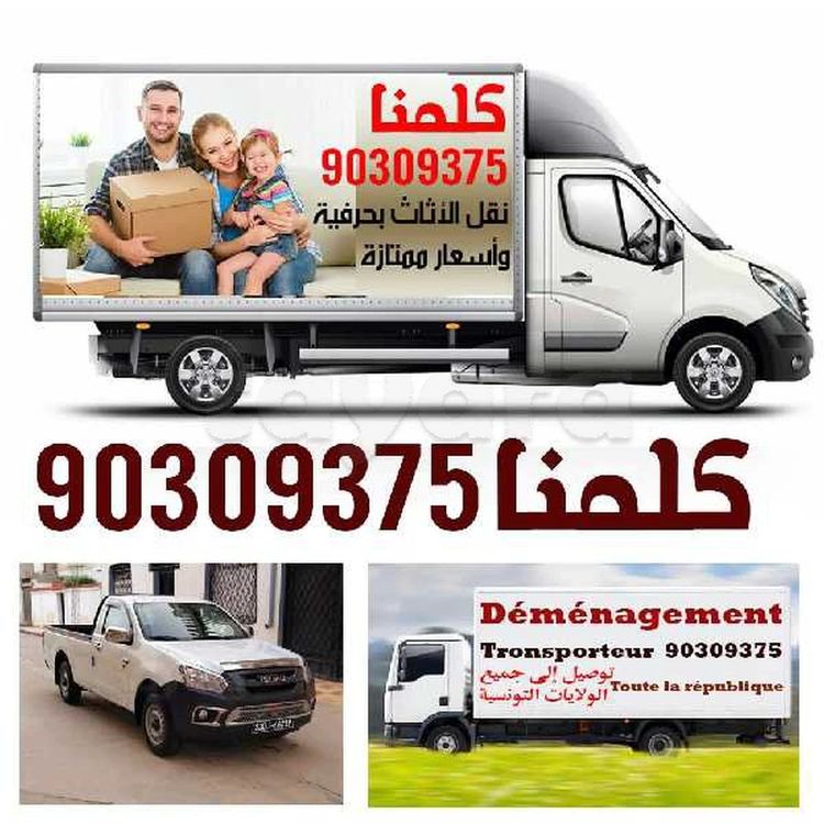 TRANSPORTEUR TÉLÉ Déménagement 90309375 prix raisonnable