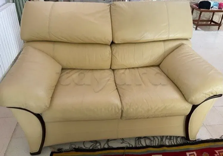 Salon en cuir