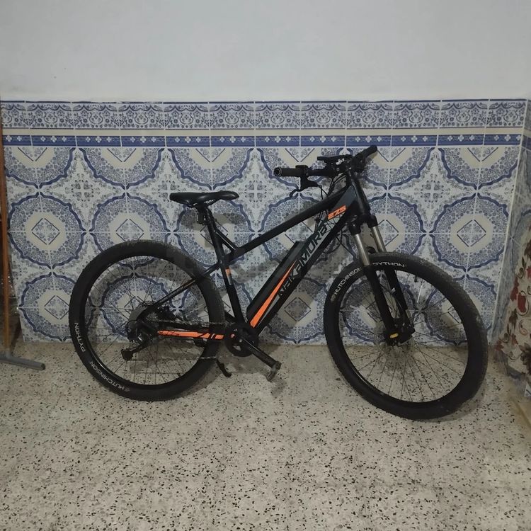 VTT Electrique Nakamura E-Summit 710