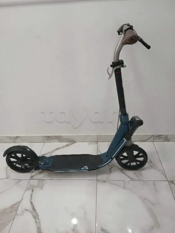 trottinette importé professionnel