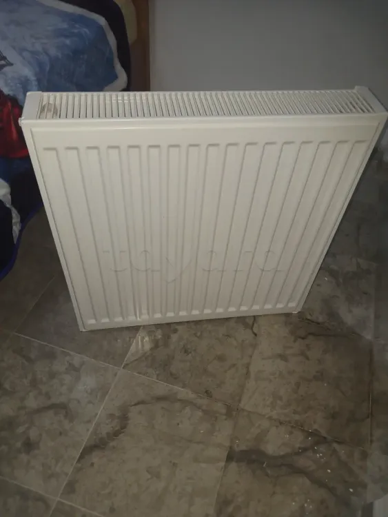 2 Radiateurs en acier  60/60