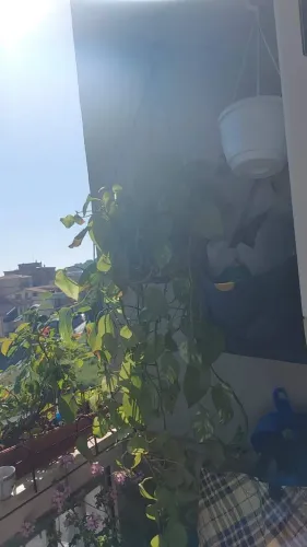 للبيع شقة بحي ابن سينا تونس بجانب كارفور ماركت