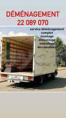 ARIANA DÉMÉNAGEMENT 22089070 TRANSPORTEUR