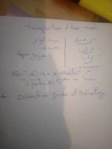 transporteur a tous Tunisie