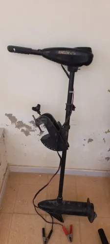 hors bord électrique