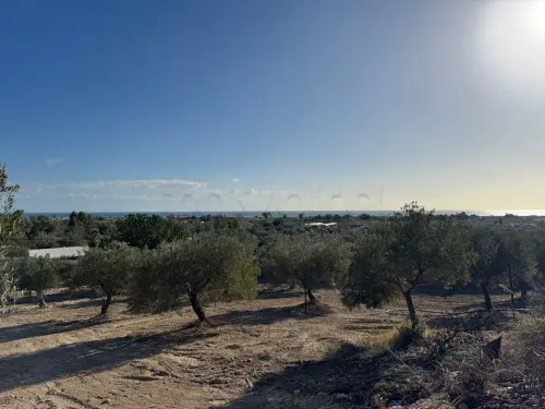 terrain 1470  a daroufa vu mer agreable