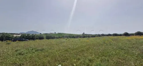 A vendre 2 hectares situé à Sidi Massoud Mornag