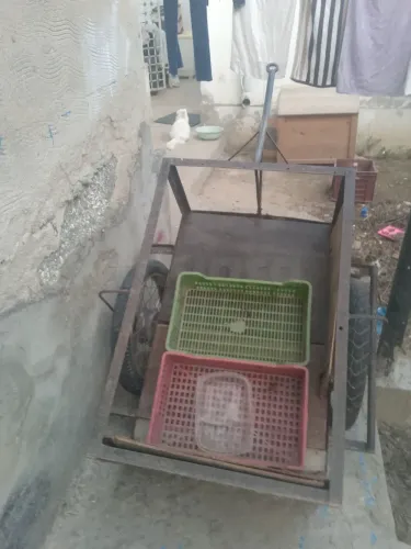 Barwita ibzoz a3jeli forza ndhifa barcha