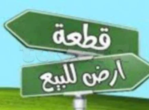 أرض للبيع