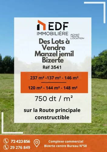 Des lots de terrain à vendre à Manzel jemil Bizerte