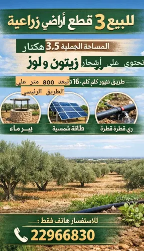 3 هكتار و نصف زيتون ولوز طريق تنيور طلم 16 صفاقس