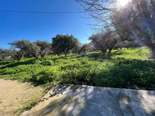 Terrain à Hamam-lif