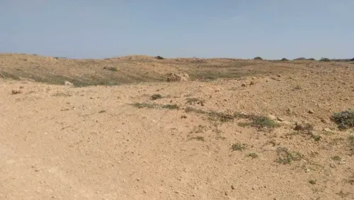 قطعة الأرض للبيع 5 هكتارات موقع أول على البحر سيدي دواد الهوارية