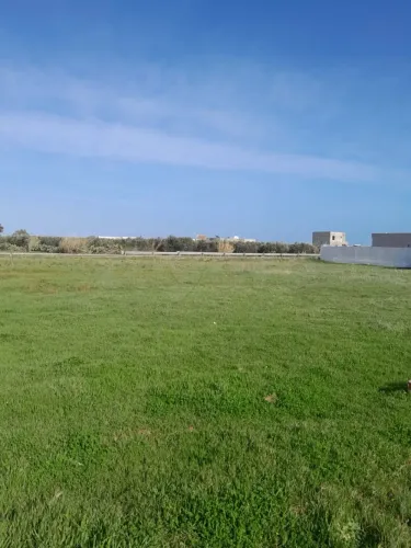 un terrain 1 klm de la plage à dar allouche kélibia