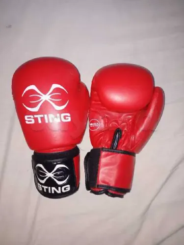gants de boxe STING neuf