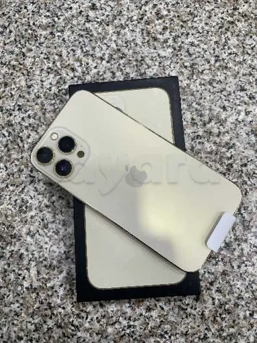 iPhone 13 Pro Max plastifié importée France