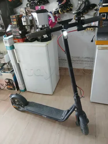 trottinette électrique importé professionnel