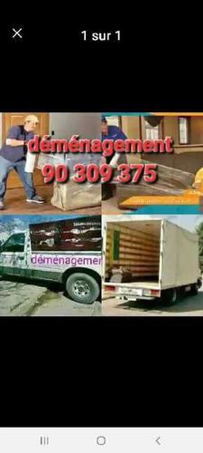 TRANSPORTEUR TÉLÉ Déménagement 90309375 prix raisonnable
