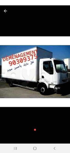 TRANSPORTEUR TÉLÉ Déménagement 90309375 prix raisonnable